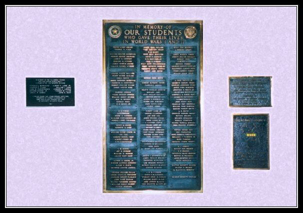 nt collage