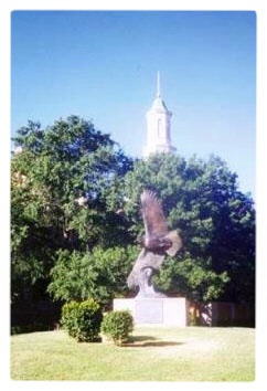 unt eagle