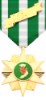 republic of south vietnam campaign medal
